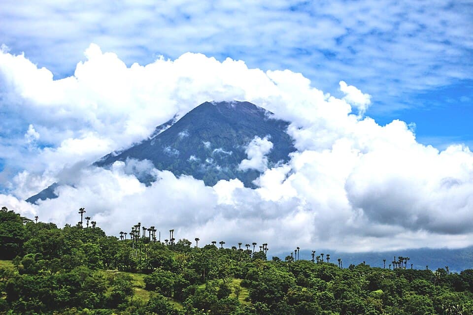 Bali