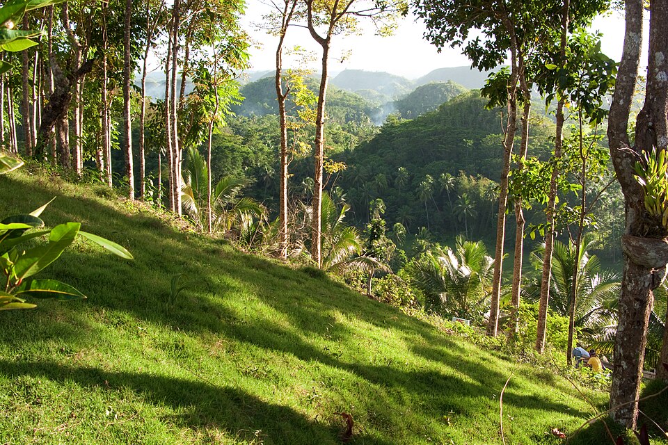 Bohol, Philippines